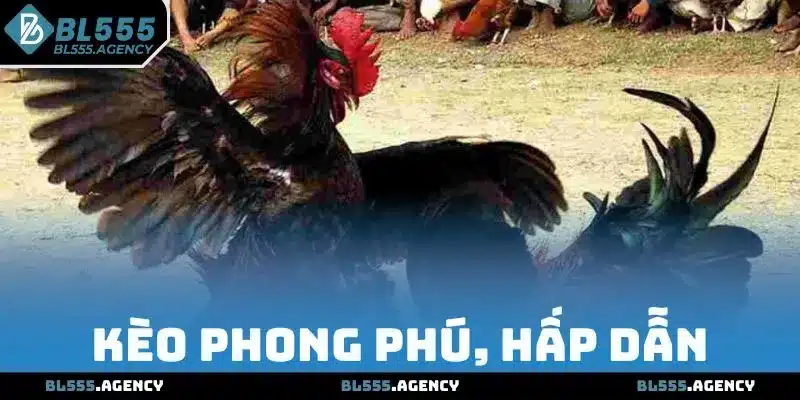 Ưu điểm không thể chối từ của đá gà truyền thống